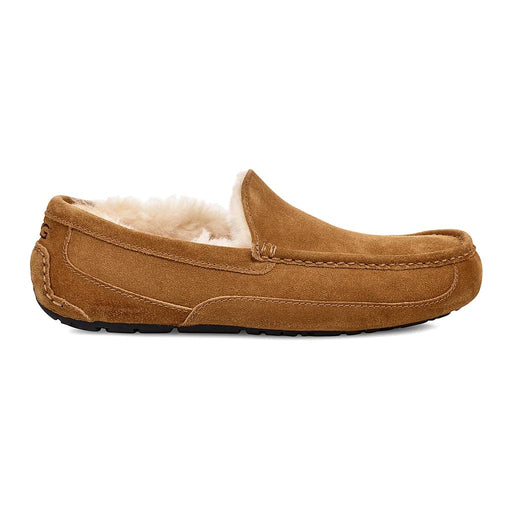 UGG Ascot Castaño - Masculino