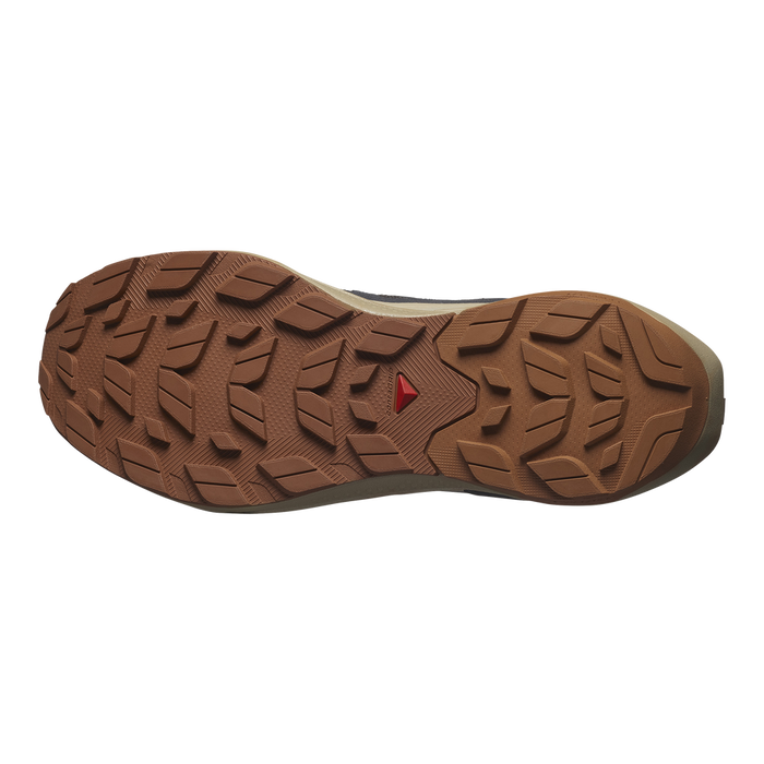 Salomon Outdoors Masculino Hiking Elixir Activ GTX Phantom/Safari/Caramel