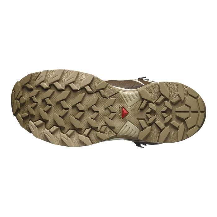 Salomon Outdoors Femenino Hiking X Ultra 360 Gtx Beige/Brown/Khaki