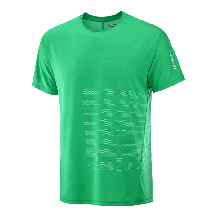 LC2694700 Salomon Prendas Remeras Masculino Running Sense Aero Ss Tee Gfx Parakeet/Spearmint