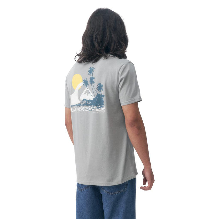 Quiksilver Remeras Masculino Moda Palm Lines Grey