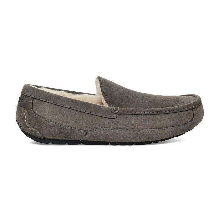 UGG Slipper Masculino Moda Ascot Grey