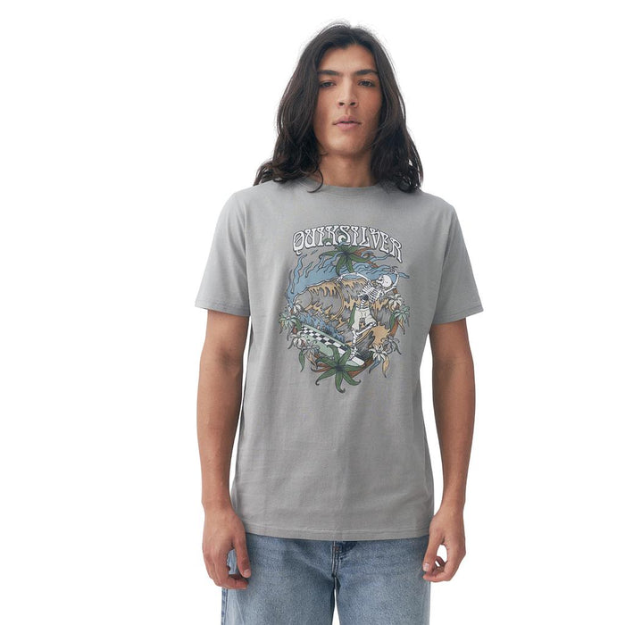 Quiksilver Remeras Masculino Moda Comp In Waves Grey