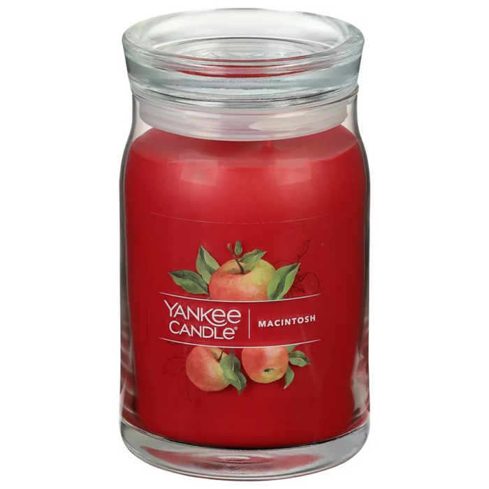 YANKEE CANDLE JAR-YCNC LG2 MACINTOSH