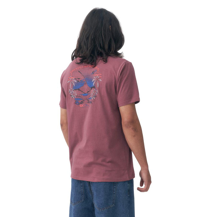 Quiksilver Remeras Masculino Moda Hollow Coves Rose Brown