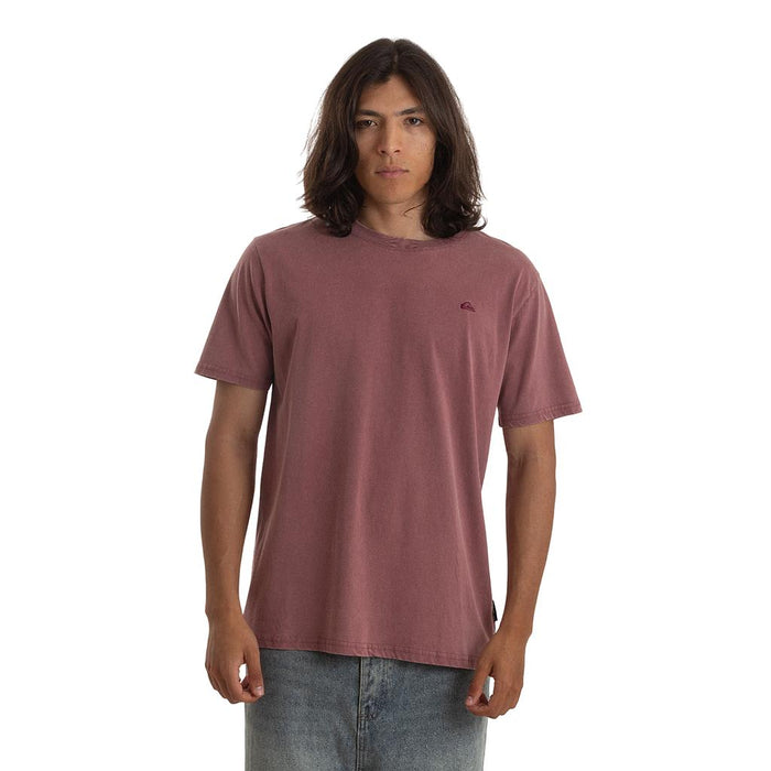 Quiksilver Remeras Masculino Moda Basic Tee Rose Brown