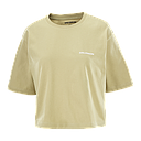 LC2680800 Salomon Prendas Remeras Femenino Running Short Ss Tee Relaxed Grey Green