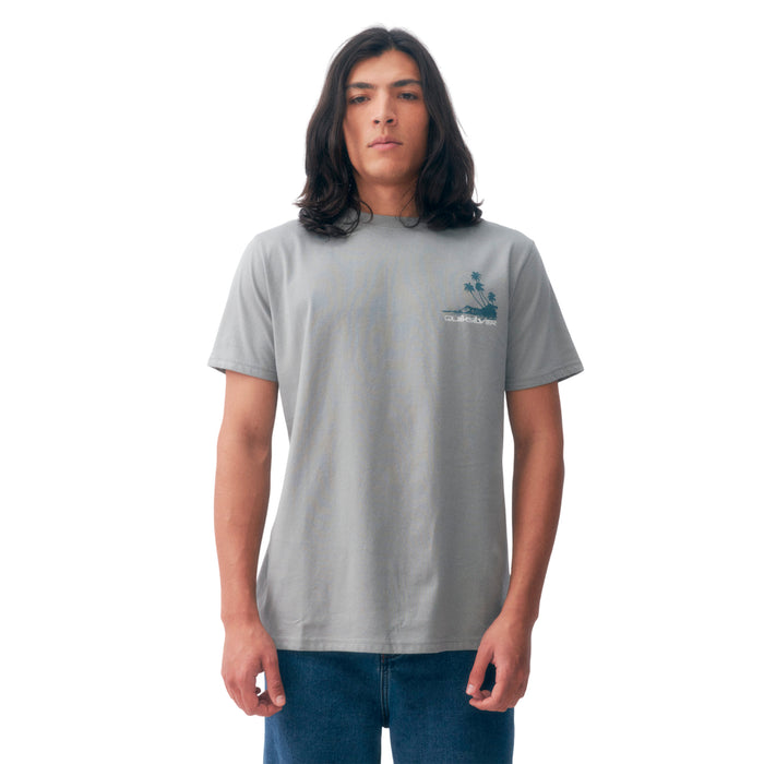 Quiksilver Remeras Masculino Moda Palm Lines Grey